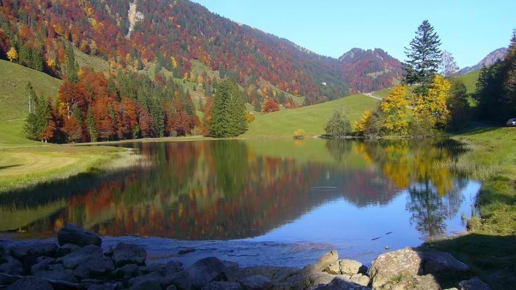 Ferienhuette Kaelberweide Apartamento Hittisau Exterior foto